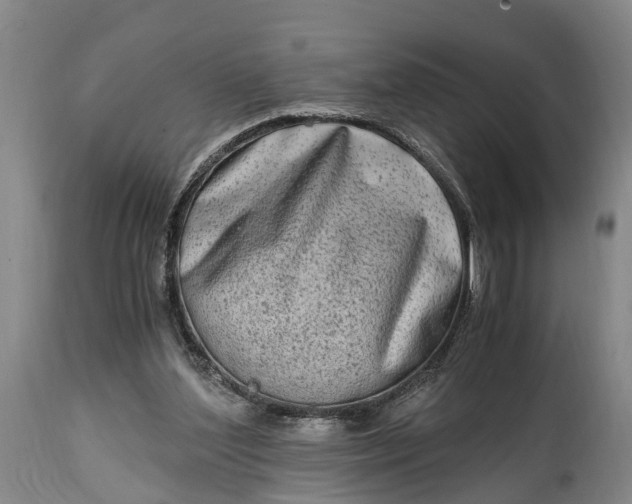 X0000115020204200911091450