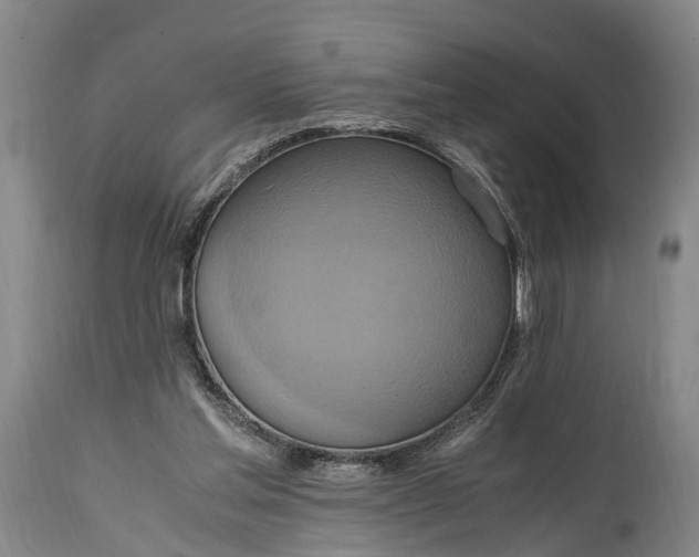 X0000115020205200911091450