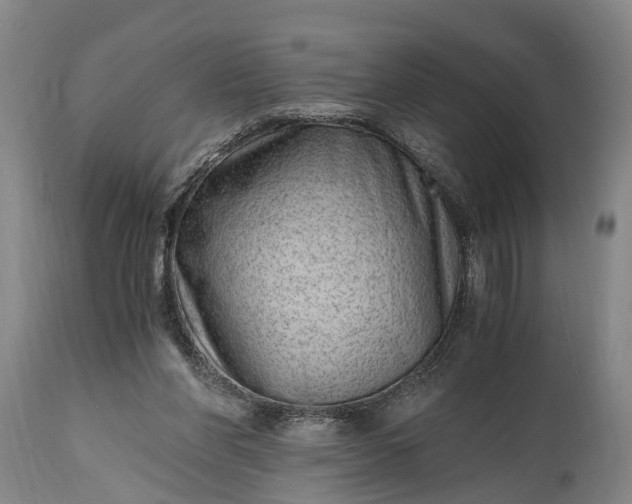 X0000115020206200911091450