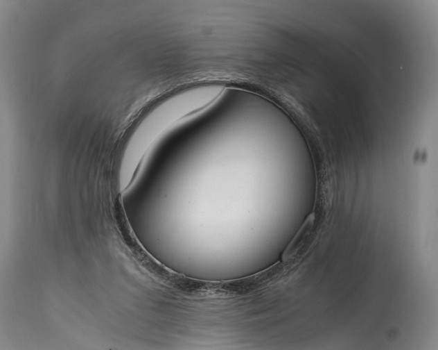 X0000115020207200911091450