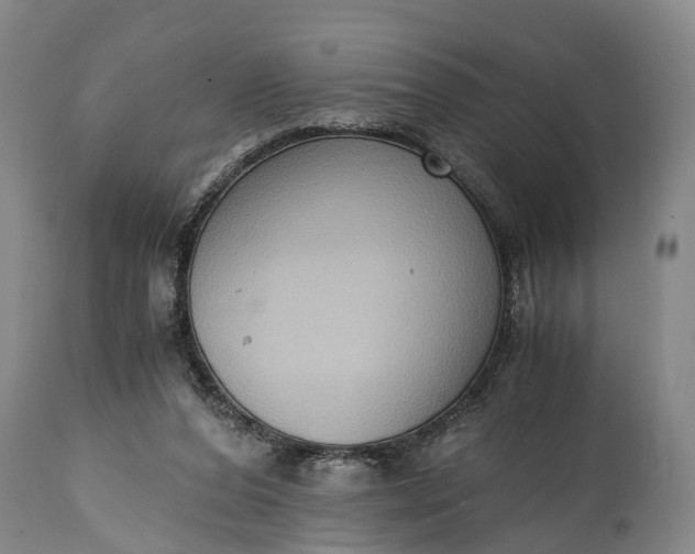 X0000115020208200911091450