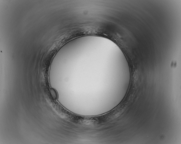 X0000115020209200911091450