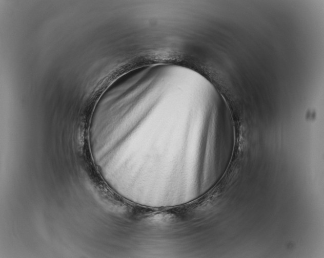 X0000115020210200911091450