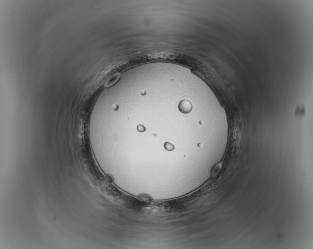 X0000115020211200911091450