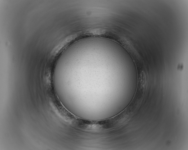 X0000115020212200911091450