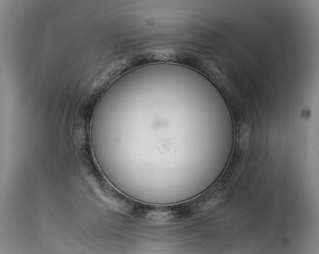 X0000115020213200911091450