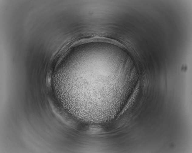 X0000115020214200911091450