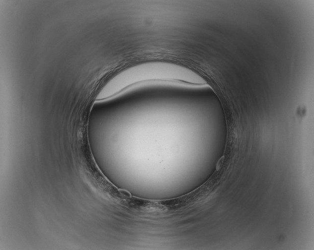 X0000115020215200911091450