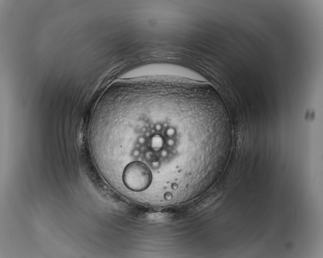 X0000115020216200911091450