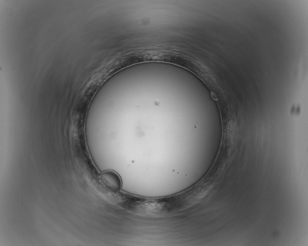 X0000115020217200911091450