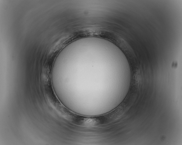 X0000115020218200911091450