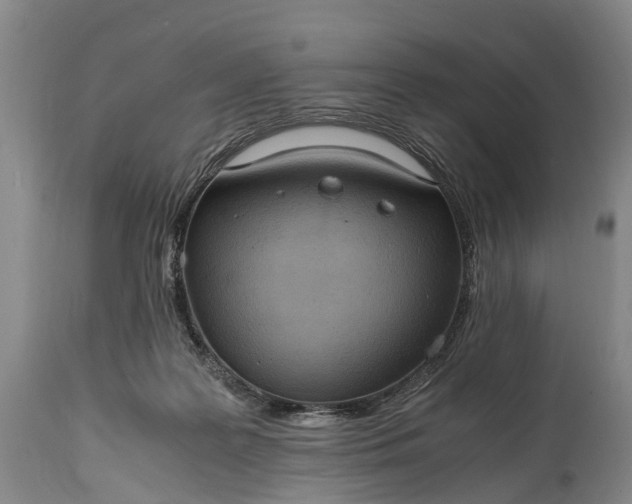 X0000115020219200911091450