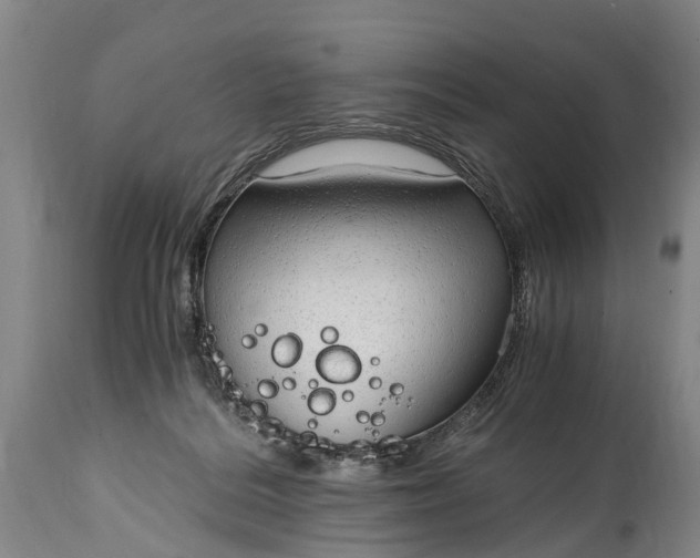 X0000115020220200911091450