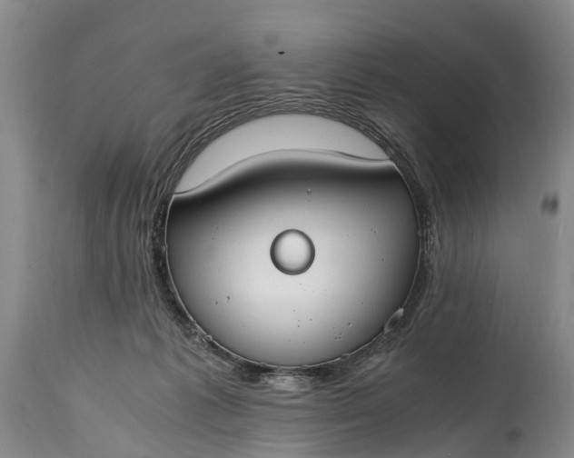 X0000115020221200911091450