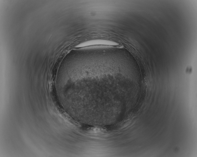 X0000115020223200911091450