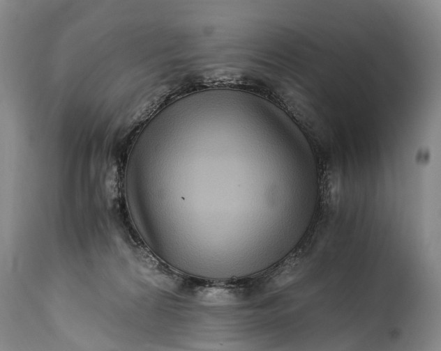 X0000115020224200911091450