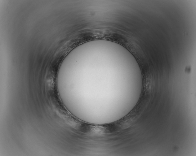 X0000115020226200911091450