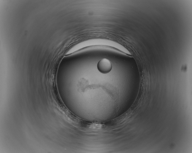 X0000115020227200911091450