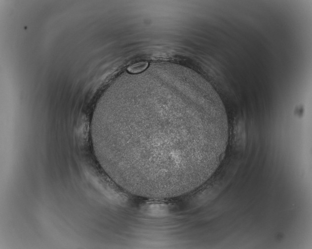 X0000115020228200911091450