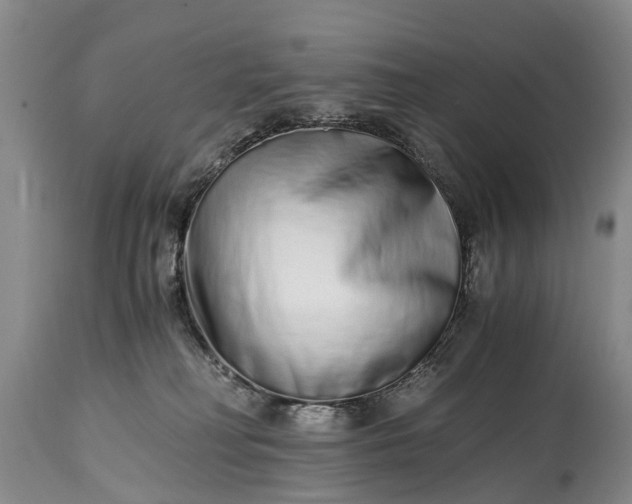 X0000115020230200911091449