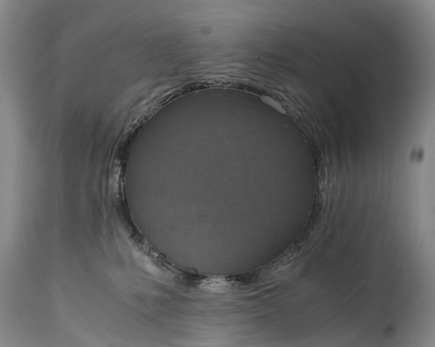 X0000115020231200911091449