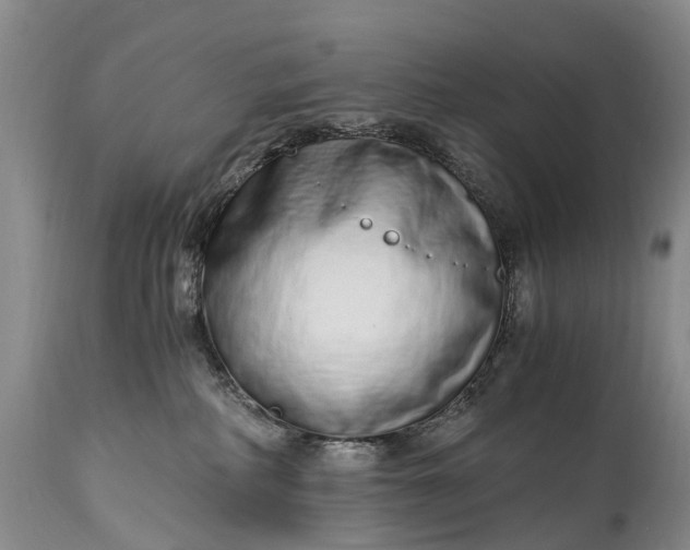 X0000115020234200911091449