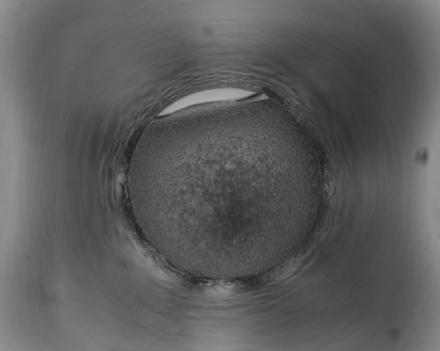 X0000115020235200911091449