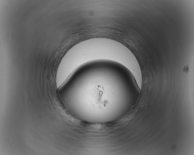 X0000115020237200911091449