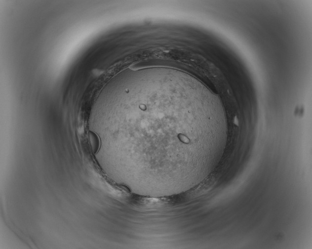 X0000115020239200911091449