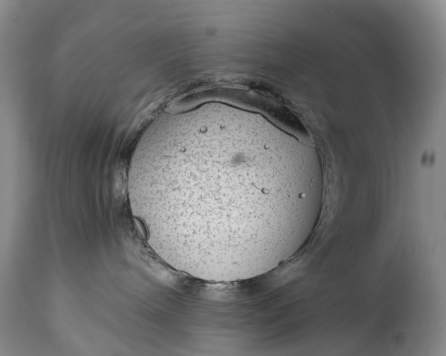 X0000115020240200911091449