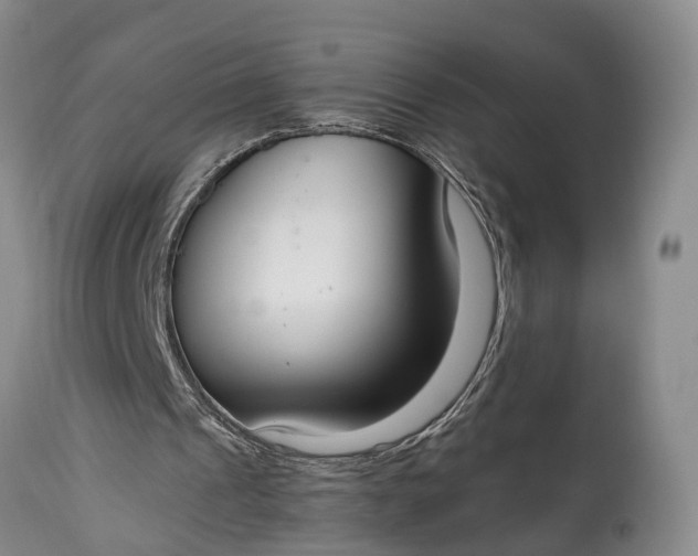 X0000115020241200911091449