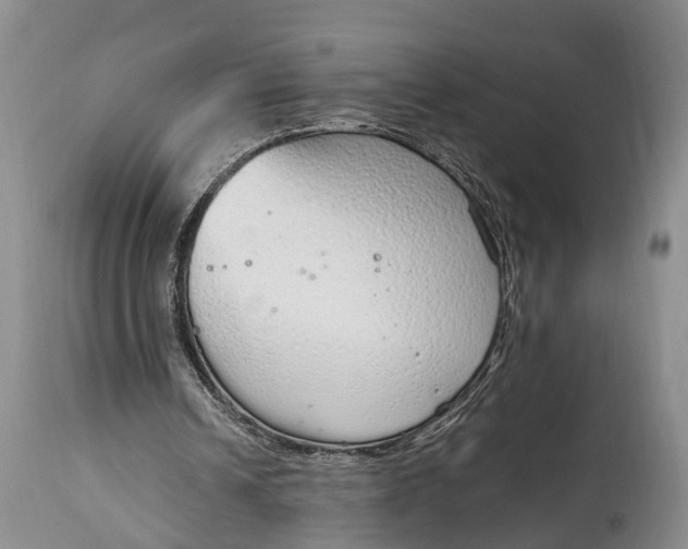 X0000115020242200911091449