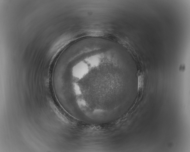 X0000115020243200911091449