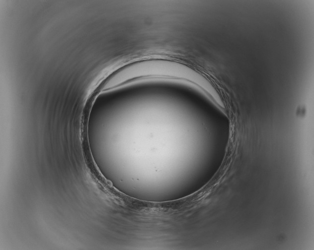 X0000115020244200911091449