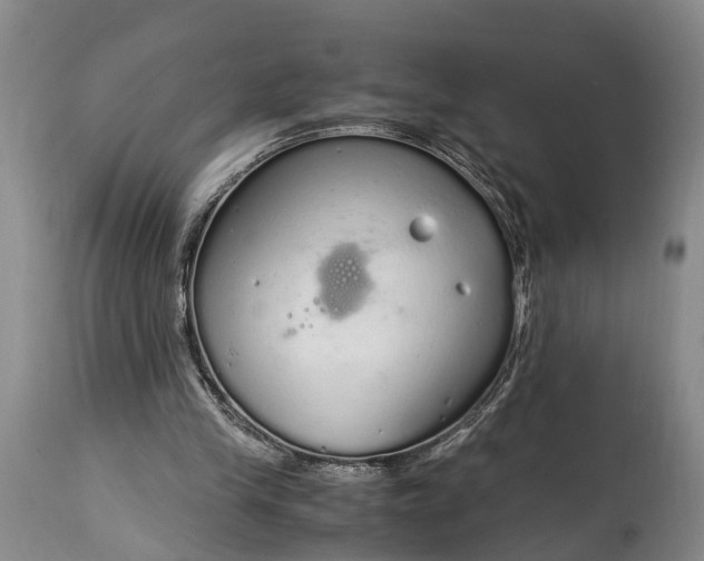 X0000115020245200911091449