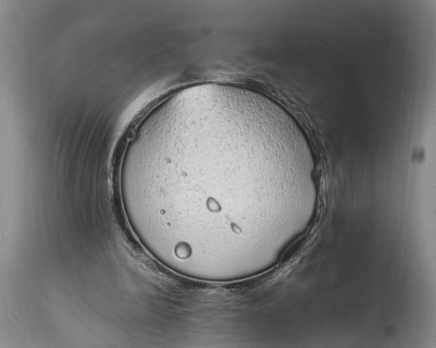 X0000115020246200911091449