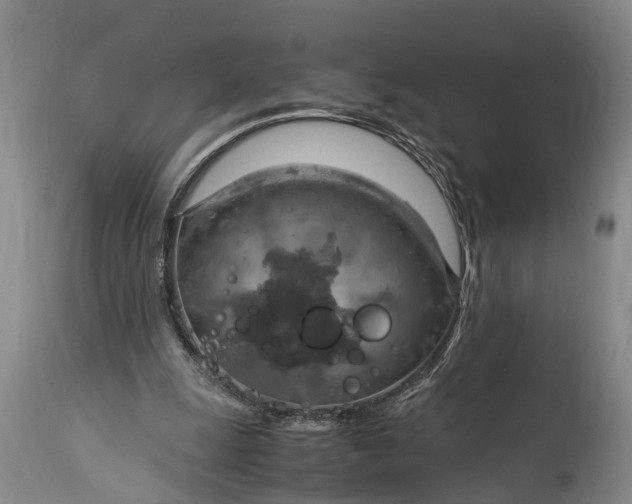 X0000115020247200911091449