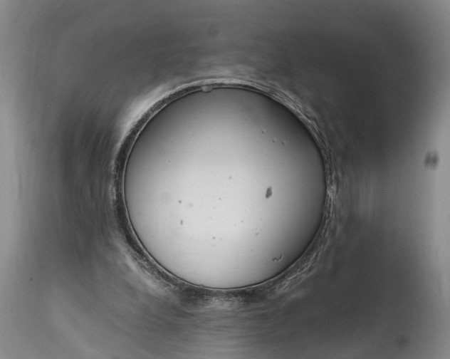 X0000115020248200911091449