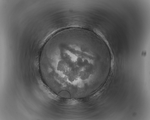 X0000115020249200911091449