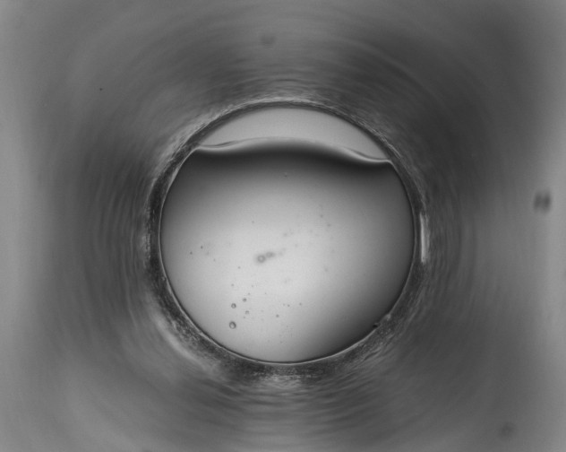 X0000115020252200911091449