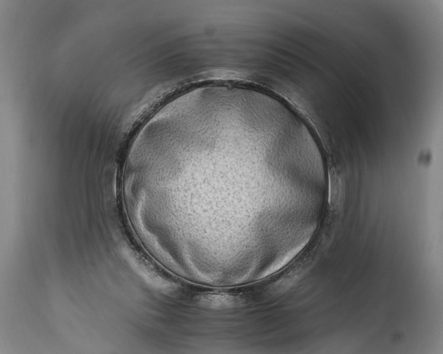 X0000115020253200911091449