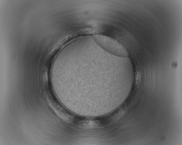 X0000115020254200911091449