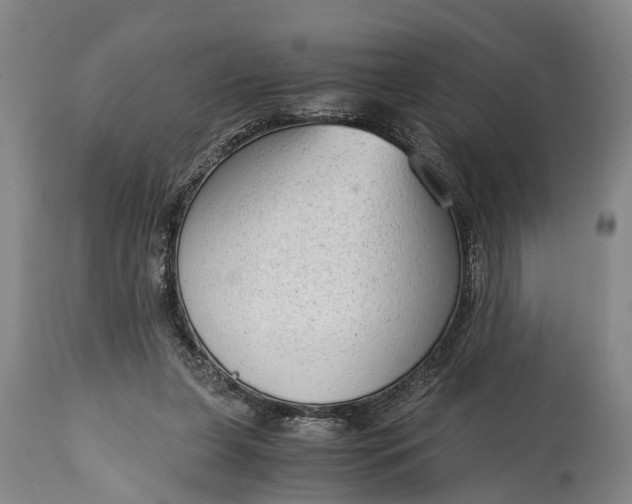 X0000115020255200911091449