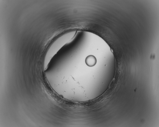 X0000115020256200911091449