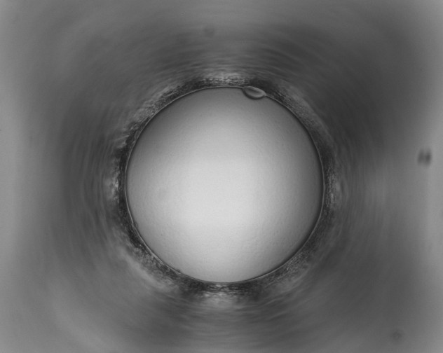 X0000115020259200911091449