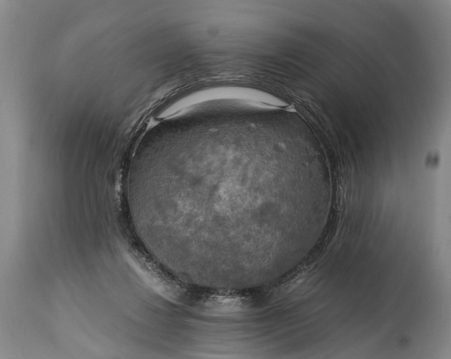 X0000115020260200911091449