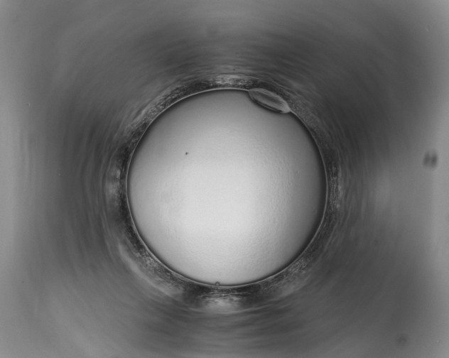 X0000115020263200911091449