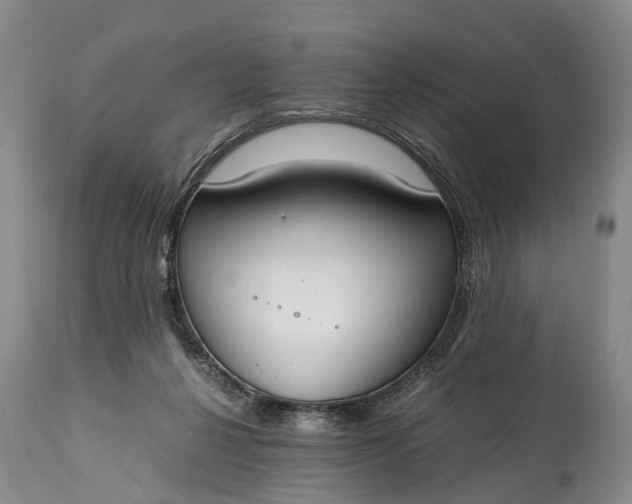 X0000115020264200911091449