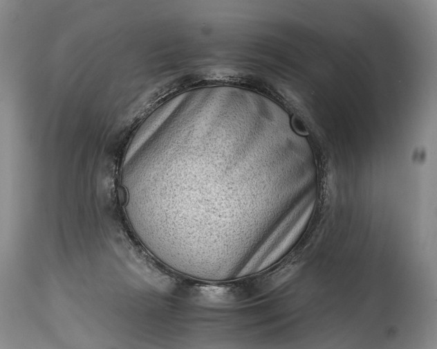 X0000115020265200911091449