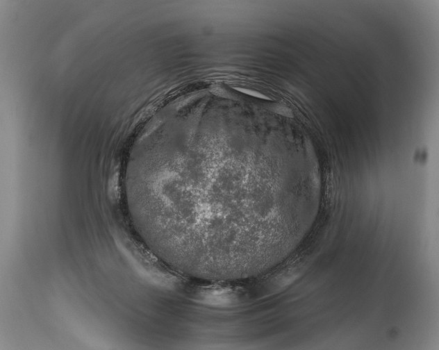 X0000115020267200911091449